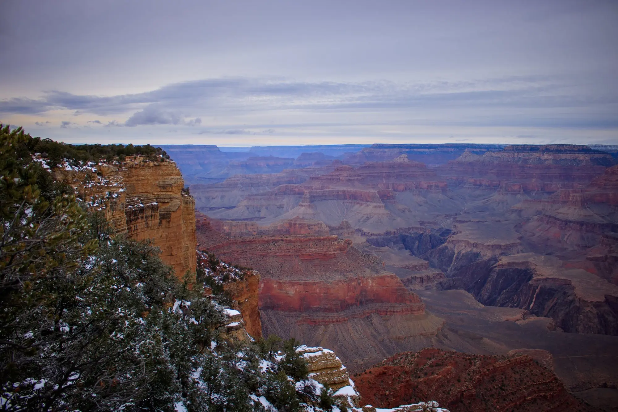 Grand Canyon with red rock layers under a cloudy sky, snow on shrubs in front