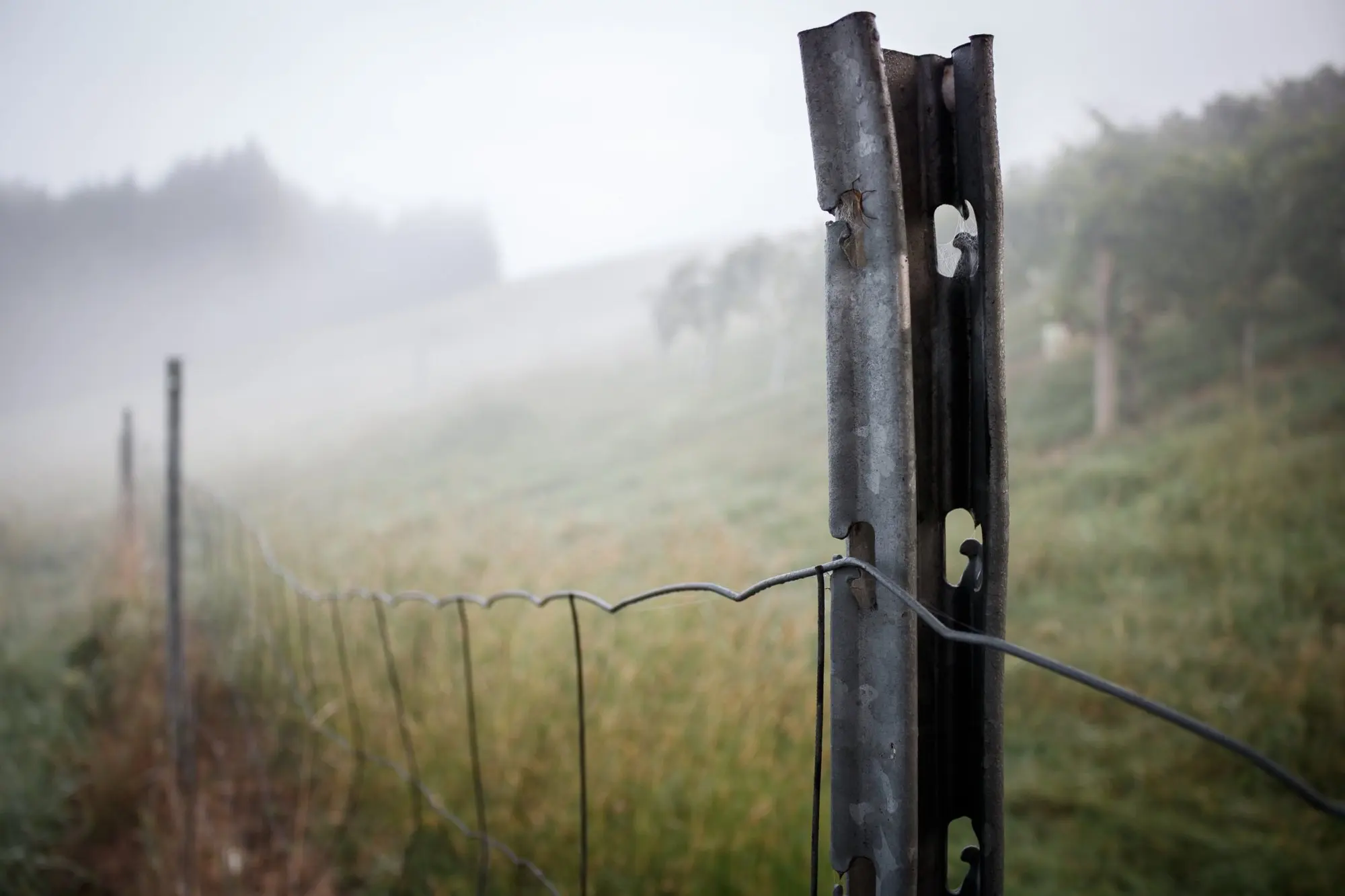 Metal fence post with wire on a meadow in fog
