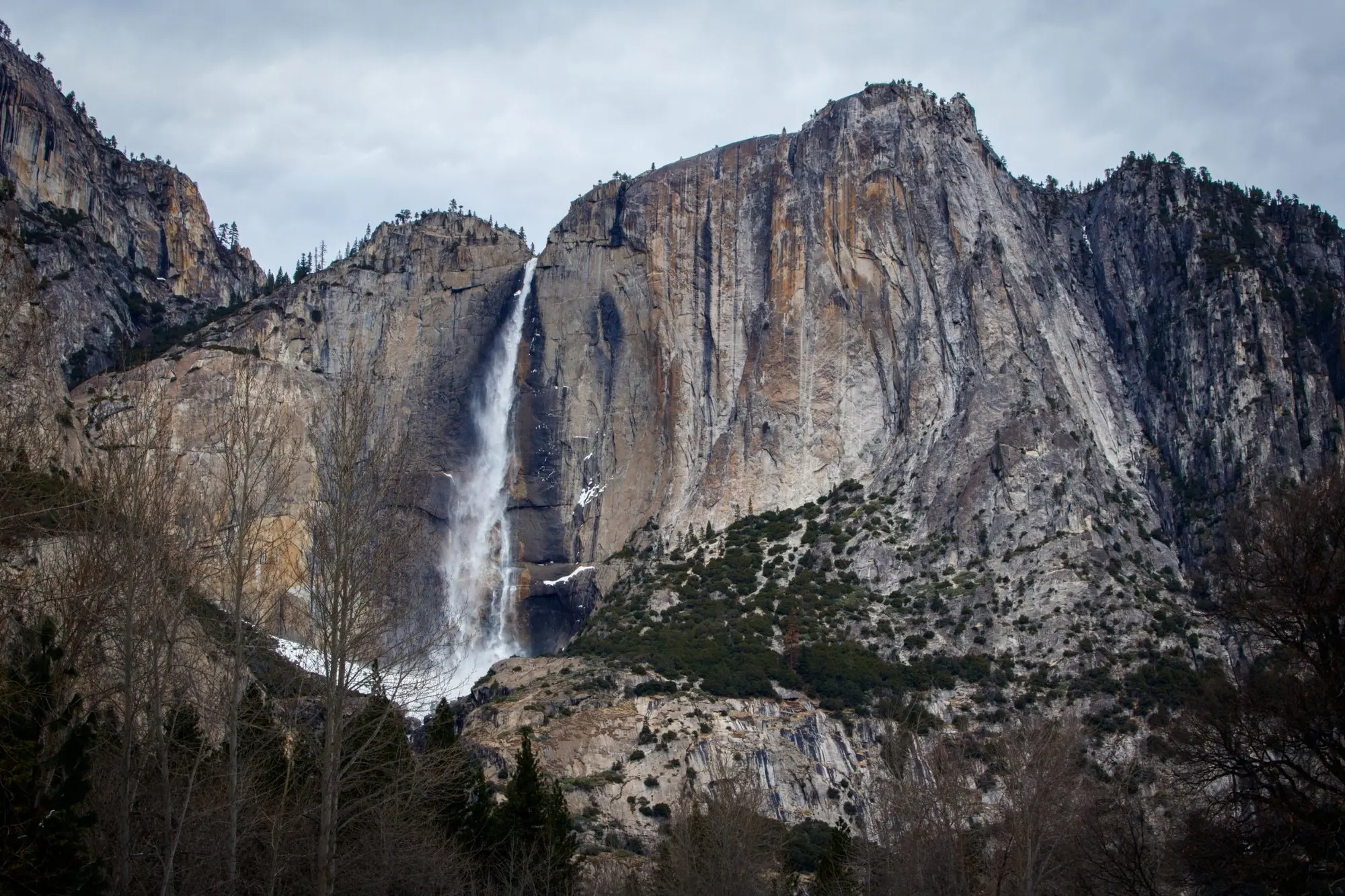 Yosemite Falls on a grey rock face, bare trees in front